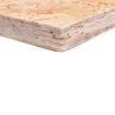 Picture of 18mm x 1219mm x 2440mm OSB3