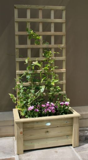 Picture of SMALL TRELLIS PLANTER - Special Order