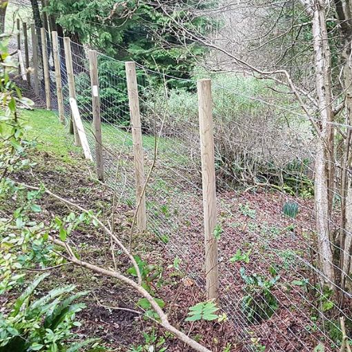 Picture of *SPECIAL ORDER* L23/200/15 - 50m X 2.0m DEER FENCE - GALV.